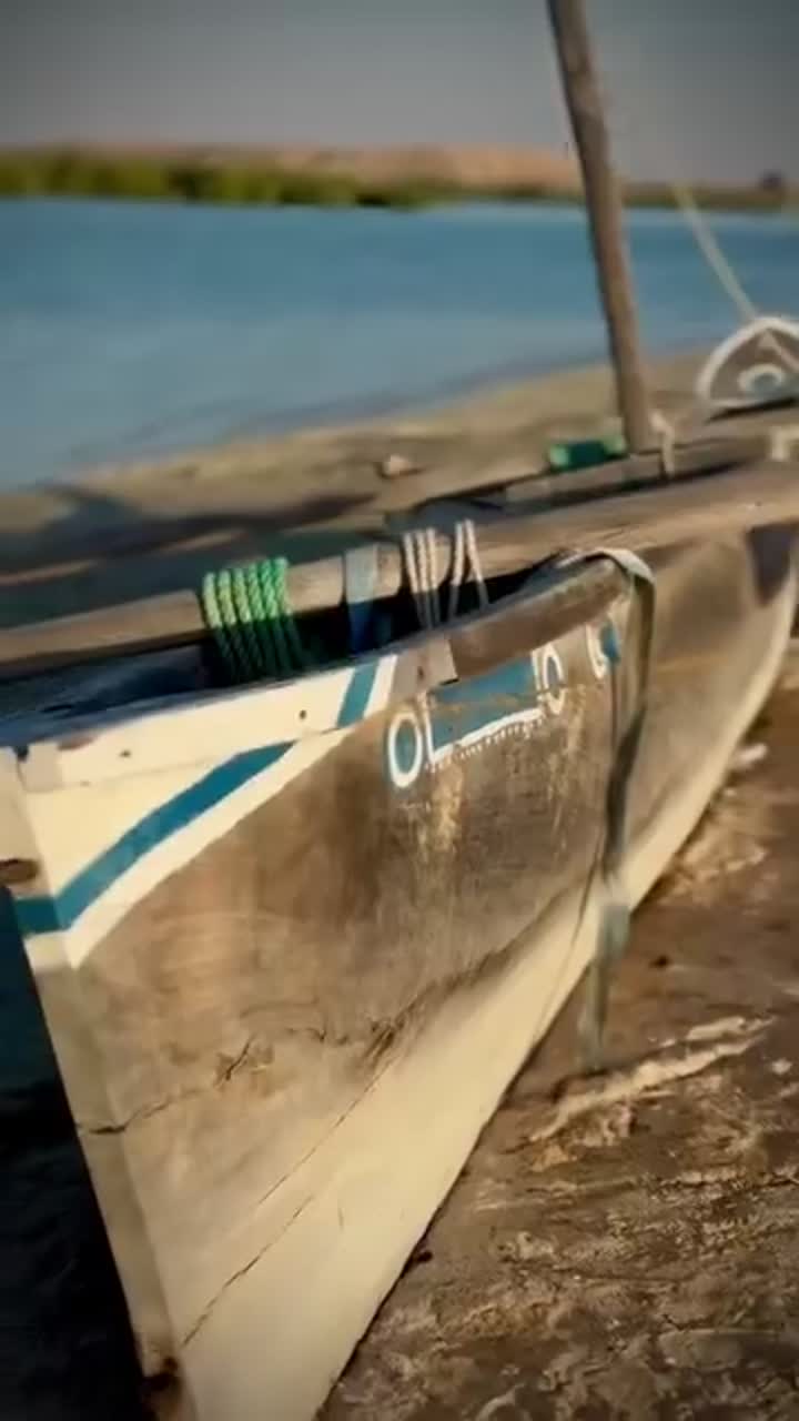 Mangrove Beach — Ras Al Khaimah Mangrove Coastline
