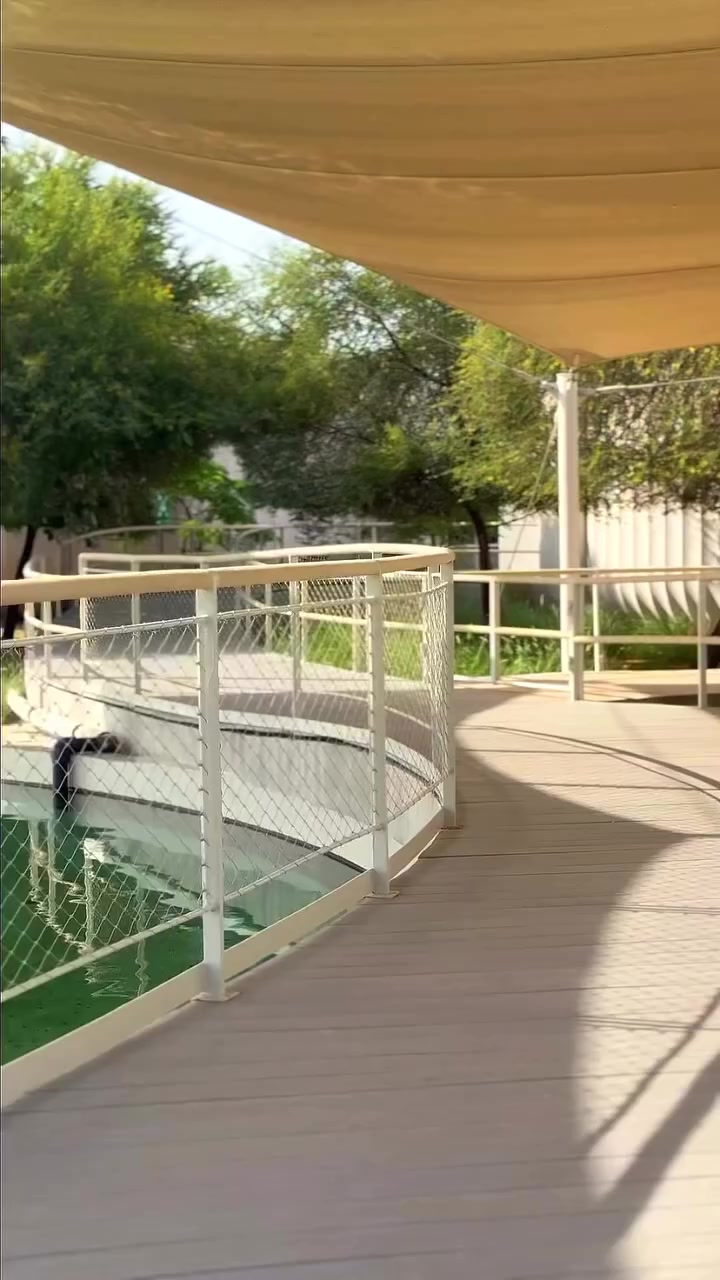 Khor Kalba Mangrove Centre: mangroves, turtles and an east-coast escape