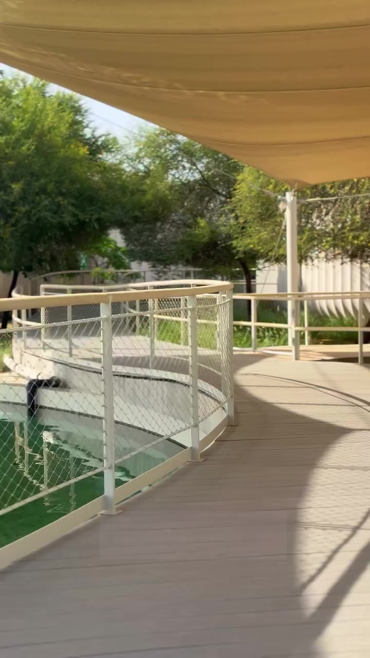 Khor Kalba Mangrove Centre: мангровый лес, черепахи и отдых в Калбе