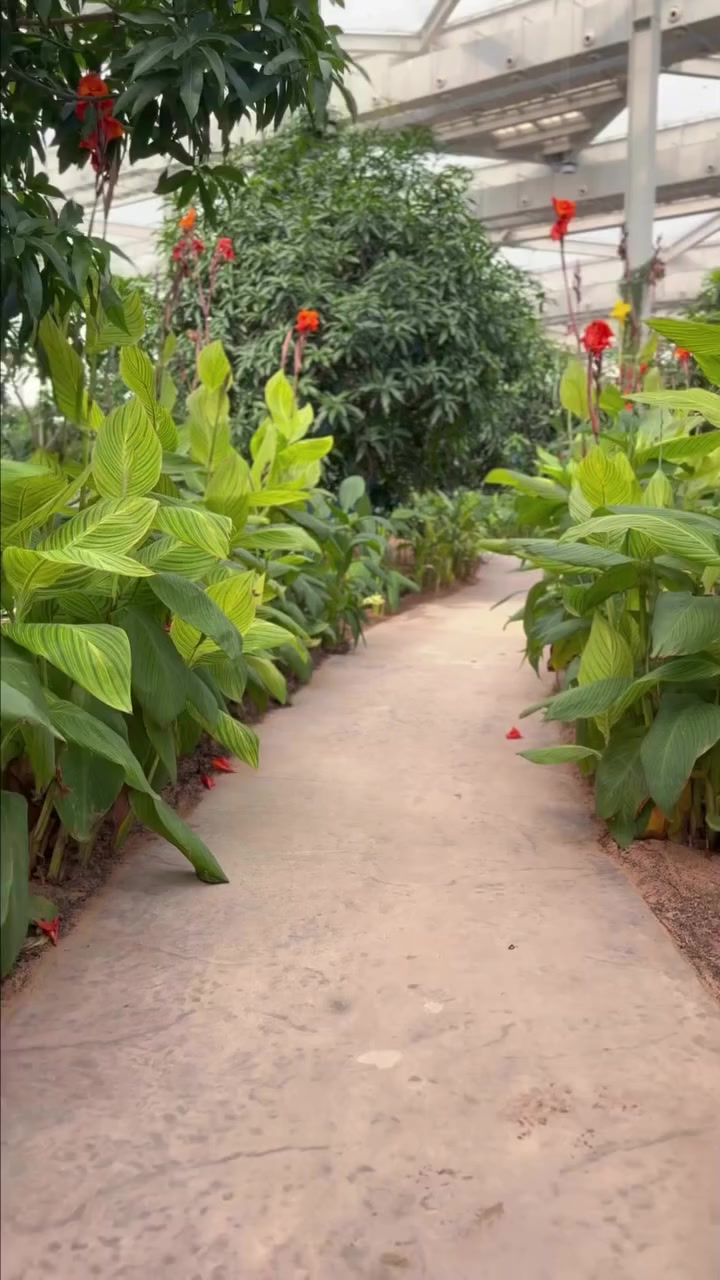 Al Samha Green House: a green stop on the road to Abu Dhabi